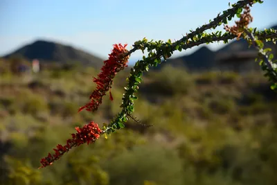 DSC_1834 (Large).JPG